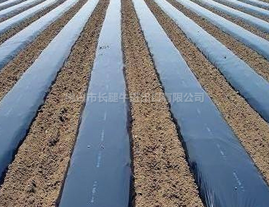 包头优质聚乙稀薄膜价格