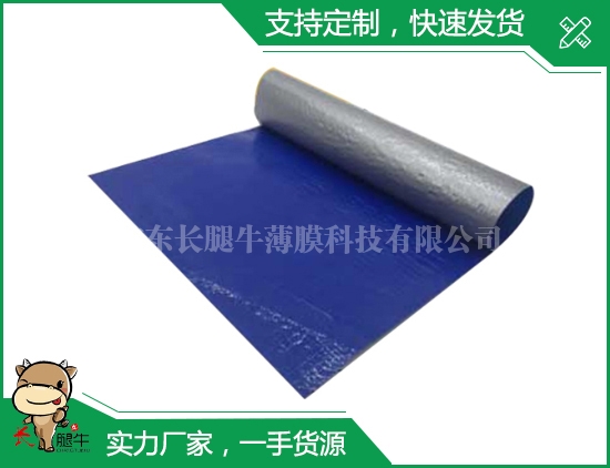 广州蓝色彩条布
