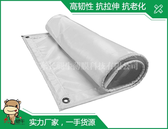 深圳白色涂塑布