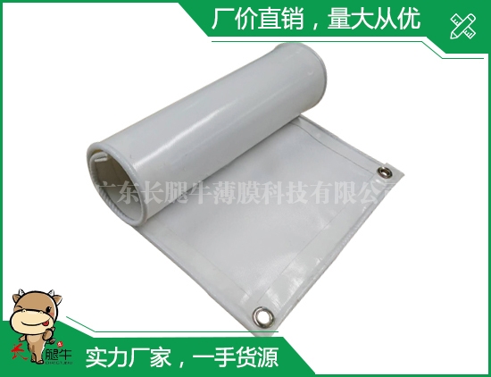 深圳白色夹网布